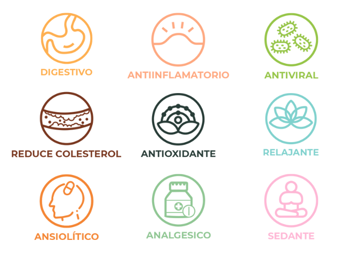 Iconos de beneficios